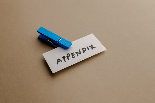 A small white paper strip with the handwritten word appendix attached by a bright blue wooden clothespin on a neutral beige background top