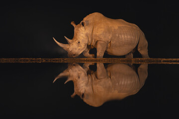 Male white rhino passes waterhole at night © Nick Dale
