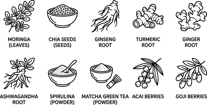 Organic superfood collection showing moringa leaves chia seeds ginseng turmeric ginger ashwagandha roots spirulina matcha acai goji berries