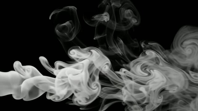 Soft white smoke cloud flowing against a solid black background an artistic abstract composition featuring