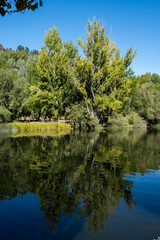 Fototapeta premium río duero en soria