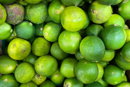Macro photography of fresh green organic limes
