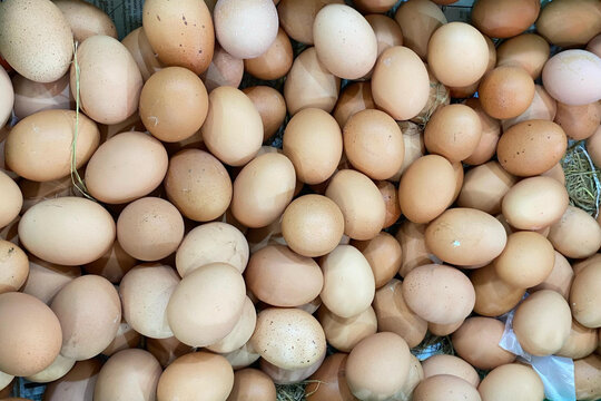 Close up photography of a pile of organic brown eggs