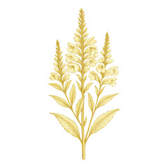 Obraz premium PNG Elegant botanical gold illustration