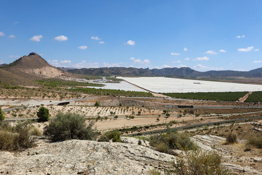 Panoramic view of areas of intensive agriculture and greenhouses in Murcia community