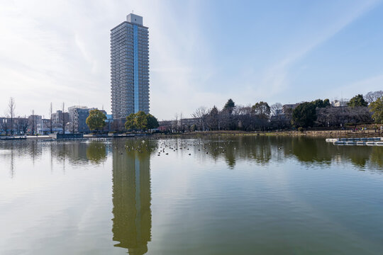 冬の浮間公園の池とタワーマンションの風景　東京都北区板橋区
