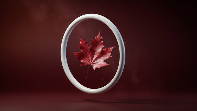 A single vibrant red maple leaf suspended inside a clean white circular frame against a deep dark burgundy background, for autumn concept