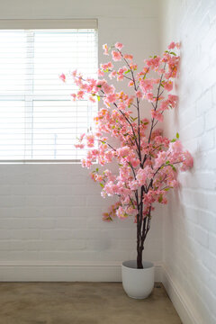 Tall branches with pink blooms are standing in white brick corner by window blinds casting shadows