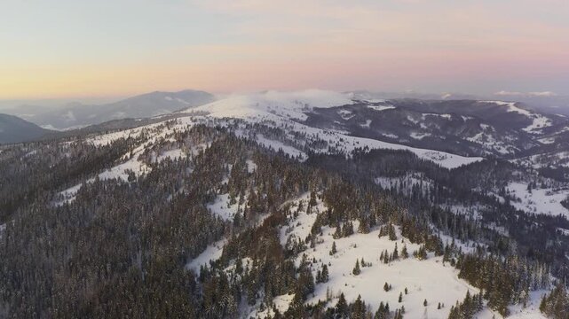 An extraordinary valley with hills and mountains covered with fir forests against the backdrop of a bright pink sunset