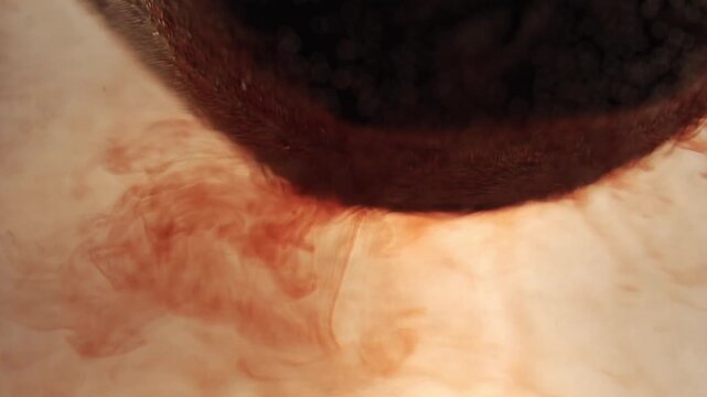  Macro View of Teabag Infusing Water with Red Currents