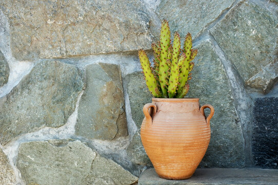 Clay amphora with cactus against stone wall. Crete, Greece