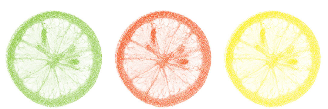 Halftone citrus slices in stipple effect with dotted transparent retro grunge style
