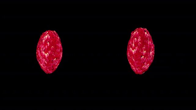 Petals Explosion openart 