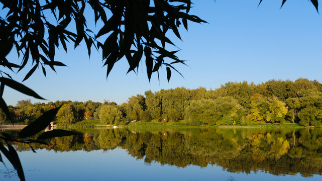 An autumn park with shrubs and trees is reflected in the calm landscape by the lake.