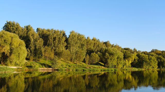 An autumn park with shrubs and trees is reflected in the calm landscape by the lake.