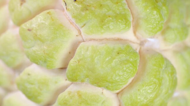 Extreme close-up of the bumpy segmented skin texture of a ripe custard apple.