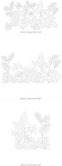 Tropical Foliage Plants and Exotic Leaves Line Art in Top View Plan Front and Side Elevation © studio XL