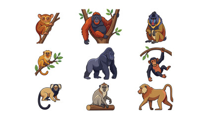 Obraz premium Wild monkey and primate vector set with gorilla chimpanzee orangutan baboon and tamarin on white background