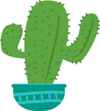 cactus illustration isolated green plant in pot
