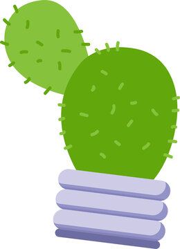 cactus illustration isolated green plant in pot