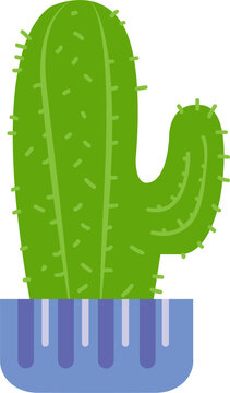 cactus illustration isolated green plant in pot