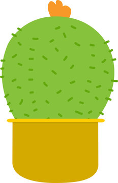 cactus illustration isolated green plant in pot