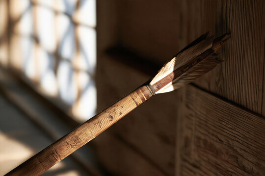 Traditional Wooden Arrow with Feathers Leaning in Soft Sunlight