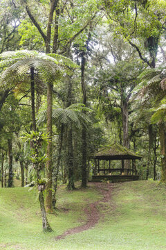Traditional wooden gazebo nestled within the lush tropical greenery of Bali Botanic Garden, Indonesia