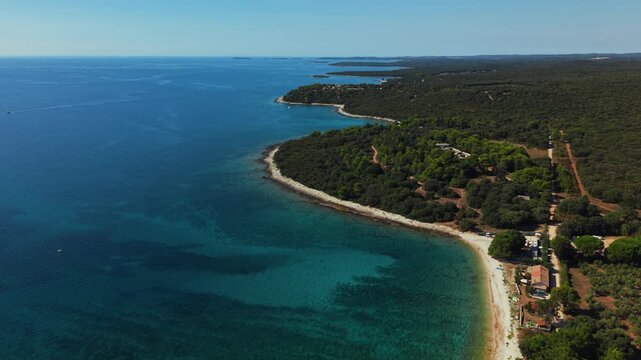 Scenic coastal landscape near Brijuni National Park featuring clear blue sea and dense pine forest.