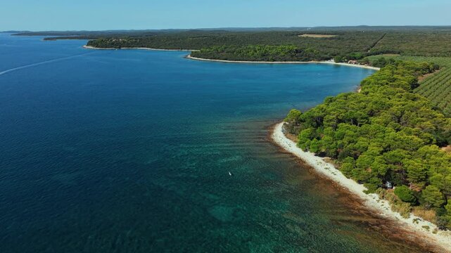 Brijuni National Park in Istria Croatia near Pula with clear blue Adriatic sea and lush pine trees.