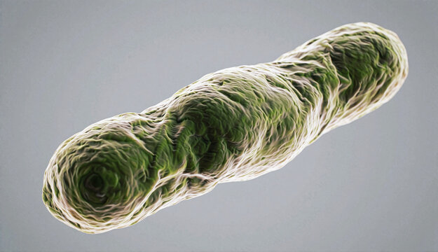 Green bacteria under microscope with textured surface and curved shape