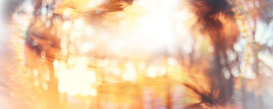 Bokeh and sunbeams in an autumn landscape, sunny abstract view of autumn in October