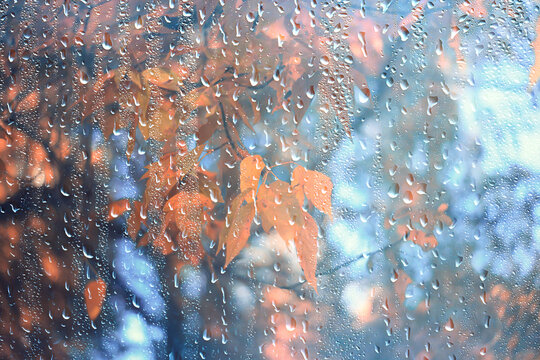 Wet weather, drops of autumn rain on the glass, autumn landscape outside the window, weather change