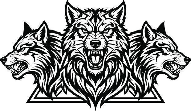 Fierce three wolf heads emblem showing aggressive snarling wolves growling for sports team mascot logo design vector