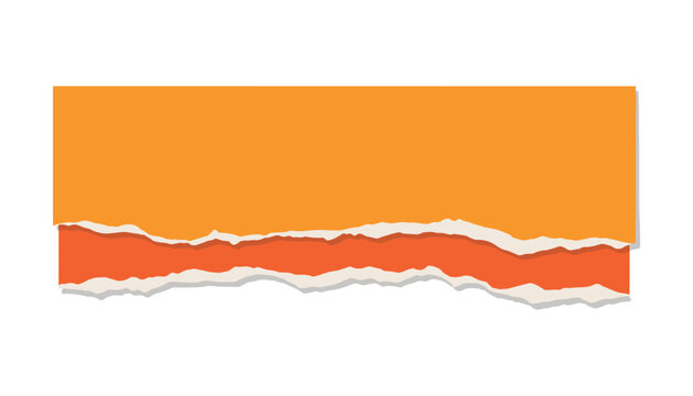 Orange Torn Paper Edge Vector and PNG Graphic