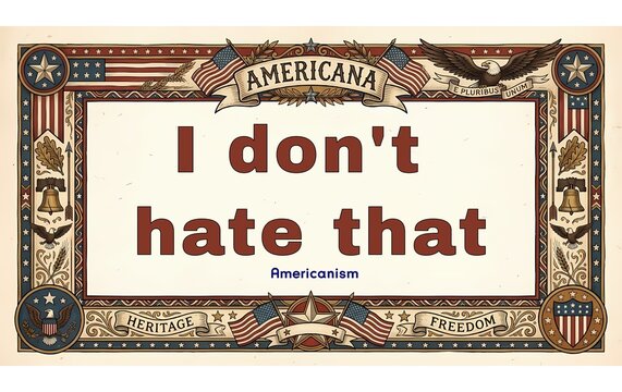 American, pop culture, cultural, saying, phrase, I Don't Hate That,  Meaning ,I like that, Illustration, border, Americana, 