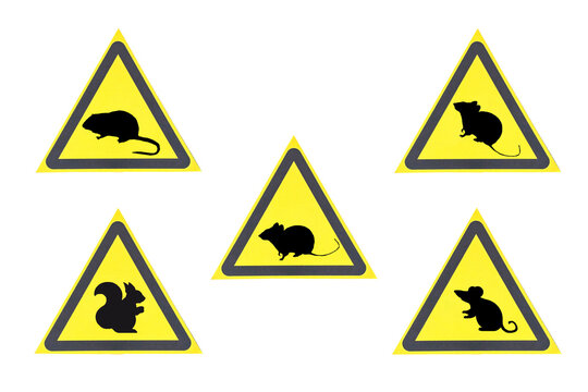 The warning signs &ldquo;Dangerous Rodents&rdquo; feature close‑up images of various rodents in yellow triangles on a light background, isolated.
