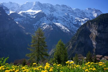 Fototapeta premium panorama of the resort and tourist region of the Swiss Alps