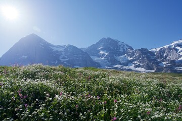 Fototapeta premium panorama of the mountains walley of the tourist region of the Swiss Alps