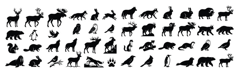 Fototapeta premium Wild Winter Animals and Birds Silhouette Collection