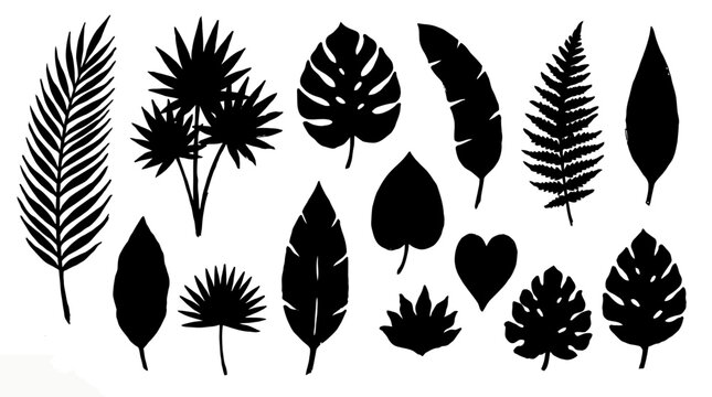 Black silhouettes of tropical leaves and plants set, vector illustration design