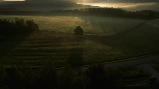 Aerial panorama of meadow and woodland in golden morning light