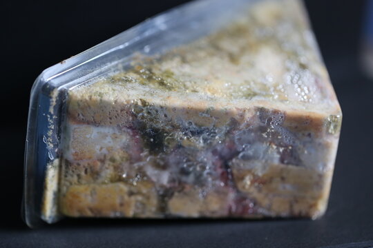 Mold grow on food after long time storage.	
