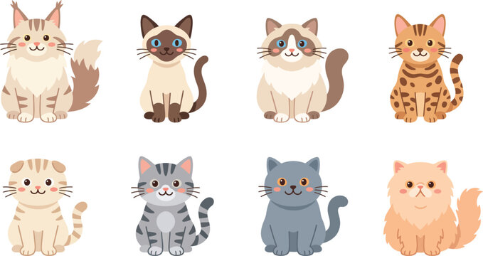 Cute cat breeds flat design character vector set