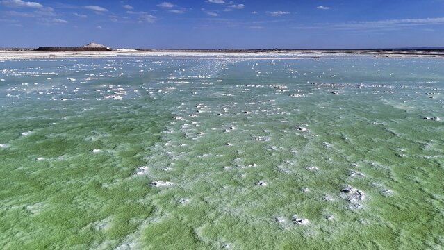 green salt lake water surface crystallization texture