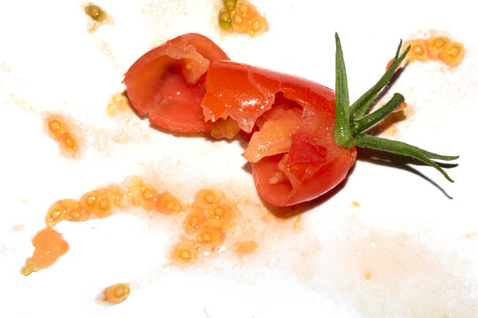 A squashed splattered and crushed broken fresh tomato with seeds