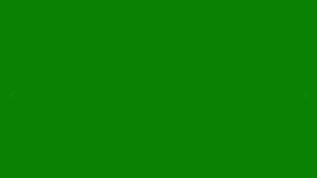 Fantasy magical glitter wings opening and glowing star particles trajectory on green screen 4K