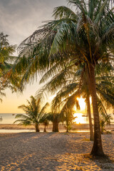 Fototapeta premium Sunset and palm trees at Lazy beach on the island of Koh Rong Sanloem near Sihanoukville, Cambodia