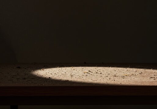 A bare wooden table covered only in dust and a single lingering shadow, emphasizing an empty, abandoned feeling in a forgotten space, dirty, plain, lack