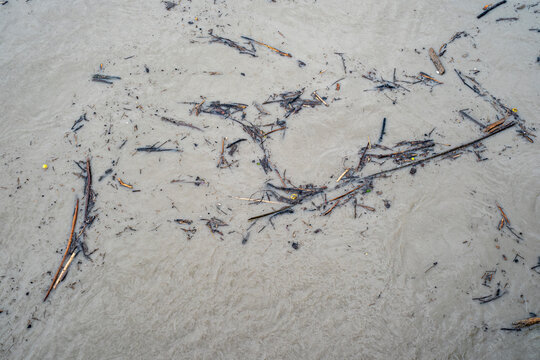 Treibgut aus Holz und Baumteilen in einem Fluss